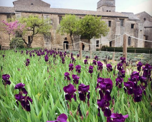 Saint Remy de provence Antigo hospital de Van Gogh Saint Remy de Provence