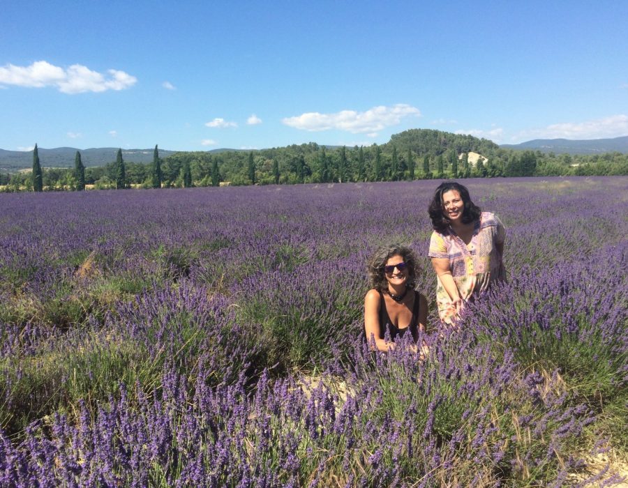 Campos de Lavanda Luberon